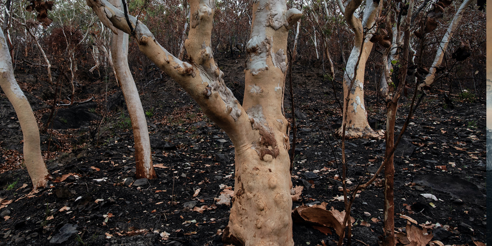 El Nino is here – what does your business need to do?