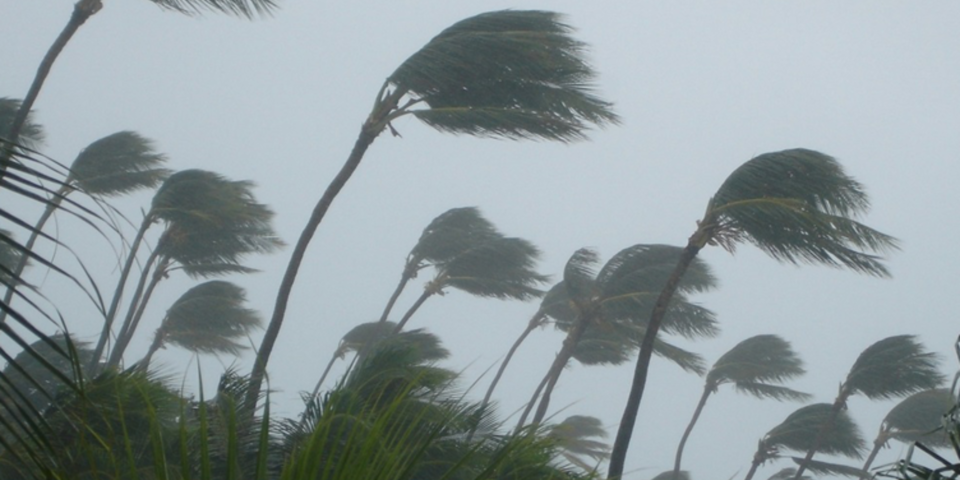 Help for small businesses post-Cyclone Alfred  