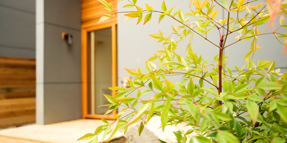 What you need to know about landlord insurance