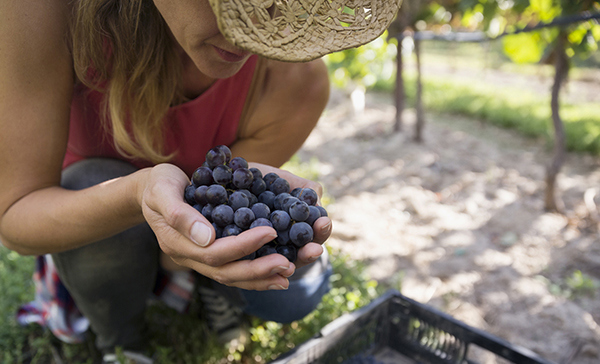 Non-payment is a serious threat to small businesses