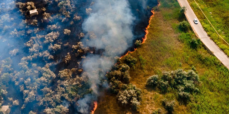 Recommended Readings