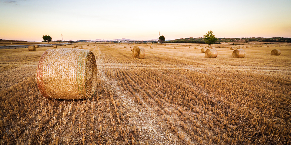 How can farmers and primary producers help prepare for El Nino